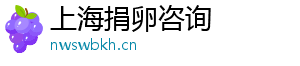 上海捐卵咨询	